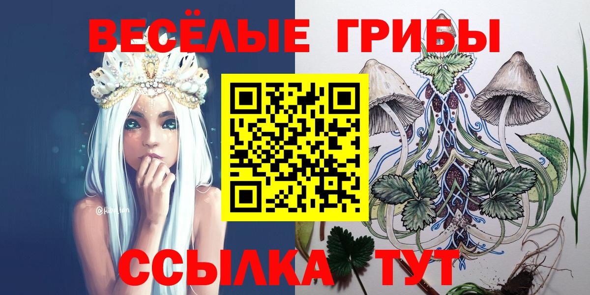 Галлюциногенные грибы мухоморы Борзя