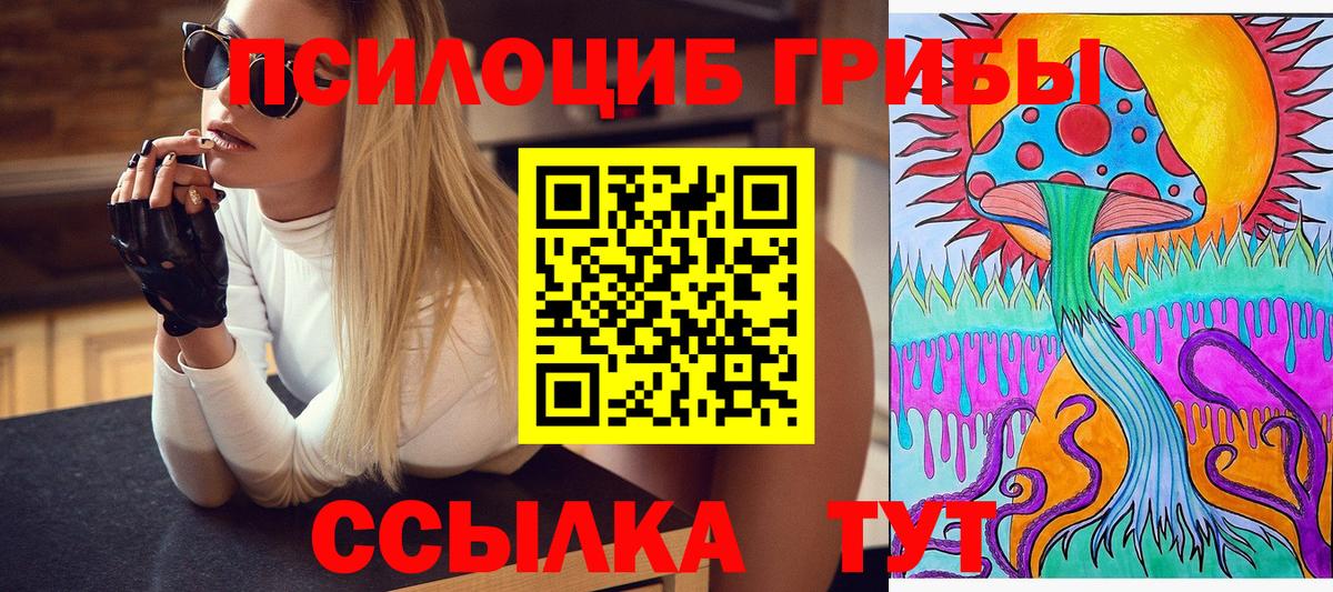 Галлюциногенные грибы Cubensis  Галлюциногенные грибы Psilocybe  Борзя  Вход с VPN 